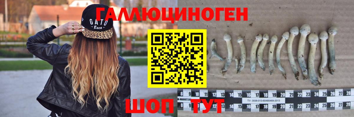 Галлюциногенные грибы Cubensis Смоленск